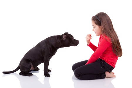 Little caucasian girl playing with her pet, isolated on white backgroundの写真素材