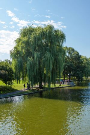 View of the Common park lake in Boston, Massachusetts -USAの写真素材