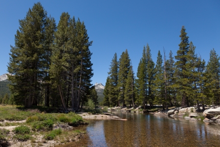 Yosemite national park in California - USAの写真素材