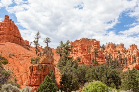 Bryce canyon national park in Utah  - USAの写真素材