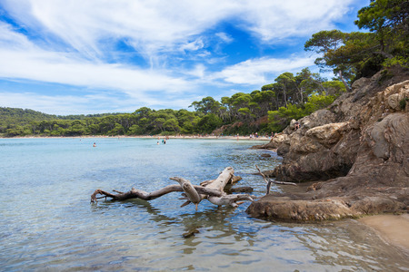 Notre Dame beach in Porquerolles island in south of  Franceの写真素材