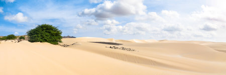 Sand dunes in Viana desert - Deserto de Viana in Boavista - Cape Verde - Cabo Verdeの写真素材