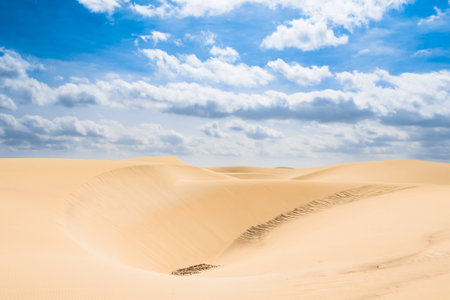 Sand dunes in Viana desert, Cape Verdeの写真素材