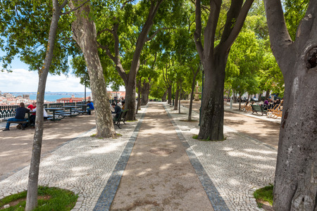 Sao Pedro de Alcantara viewpoint park  - Miradouro in Portugalの写真素材