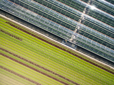Aerial agricultural view of lettuce production field and greenhouseの写真素材