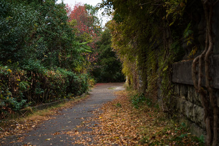 Old abandoned buildings in the park for recreation and leisure in the daytime.
