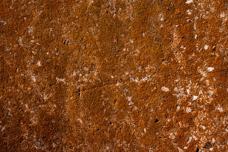 Colored old grunge stone texture with orange lichen