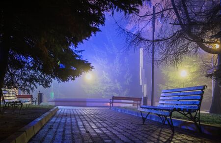 wood benches in the night park in the soft colorful light