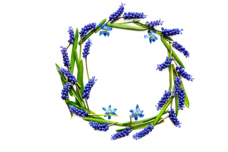 spring flower composition. frame of muscari flowers isolated on white background. top viewの写真素材