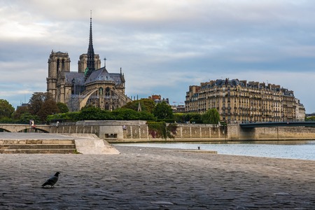 Notre Dame de Paris cathedral view from the Seine bank, Paris, France in the morningの写真素材