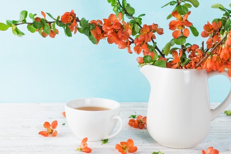 Still life with a beautiful orange japanese quince flowers and cup of tea over blue background with...