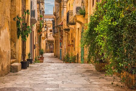 Valletta, Malta. Old medieval empty street with yellow buildings and flower pots in Birguの写真素材
