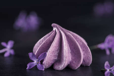Purple meringue cookie decorated with lilac flowers on dark background. macro shot. low key. minimal...