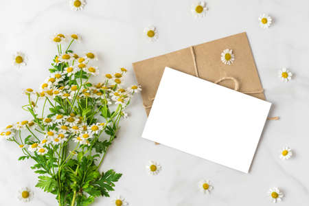 Chamomile or camomile flowers bouquet with blank greeting card on white background. mock up. top...