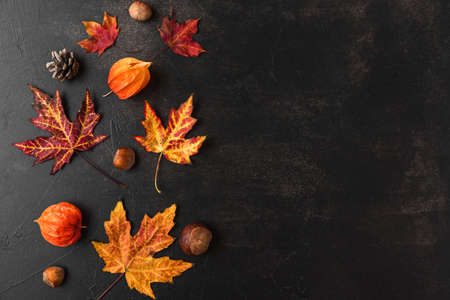 Autumn or thanksgiving composition made of autumn leaves, flowers and nuts on black background. Flat...