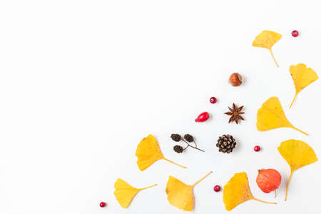 Autumn background. Yellow fall leaves of Gingko biloba with physalis flower, berries and cones...