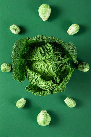 Organic savoy cabbage with brussels sprouts on green background. healthy vegan food. top viewの写真素材