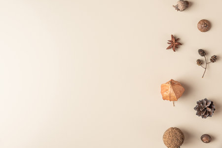 Autumn composition made of dry flowers, acorn, pine cone, anise star on beige background. Flat lay, top view with copy spaceの写真素材