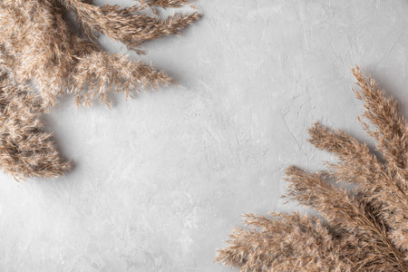 Autumn composition. Dry cane reeds or pampas grass on gray concrete background. Minimal, stylish concept. Flat lay. Top view with copy spaceの写真素材