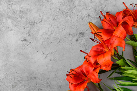 Flower composition. Summer orange lily flowers on pastel blue background. Flat lay. Top view. Wedding or anniversary card with copy spaceの写真素材