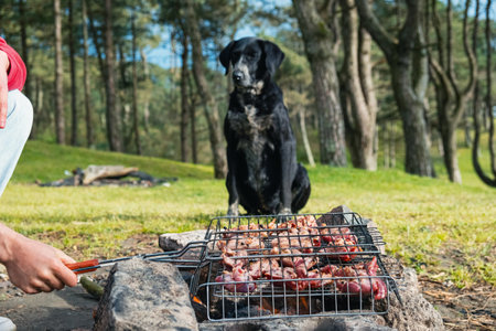 Man with a dog cooking barbeque meat in grill grate on bonfire. Preparation of bbq beef meat in grill grid outdoors above flame and coals at summer weekendの写真素材