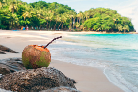 Coconut water drink with a straw on a rock by a tropical beach with turquoise water and palm trees in Phuket island, Thailand. Refreshment summer drinkの写真素材