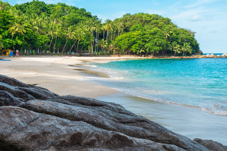 Idyllic tropical beach with crystal clear waters, sandy shore, palm trees and dense green foliage...