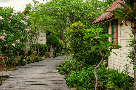 Wooden pathway in tropical resort with wooden cottages and lush greenery on Phi Phi island, Thailand. Eco-lodges with walkway in tropical garden. Eco bungalows for sustainable travel and tourismの写真素材