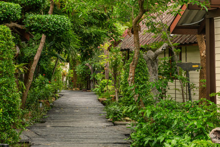 Eco-lodges in tropical resort with wooden walkway and lush, green environment on Phi Phi island, Thailand. Pathway in tropical garden with cozy cottages. Bungalows for sustainable travel and tourismの写真素材