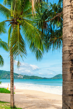 Patong beach with coconut palm trees on Phuket island in Thailand with nobody. Tropical sandy beach, Thailand. Popular travel and touristic destination in Asia. Vertical orientationの写真素材