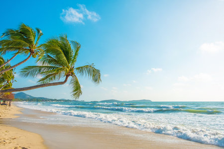 Tropical beach with golden sand, turquoise waving water and leaning palm trees under bright blue sky...