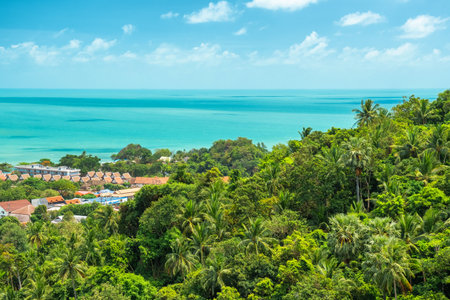 Aerial view of tropical coastal landscape with lush palm trees, villas and turquoise sea under a bright sunny sky on Koh Samui island, Thailand. Summer vacation destination in Asiaの写真素材
