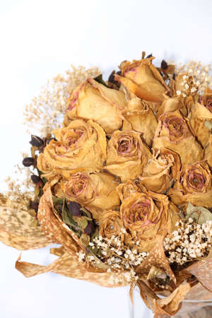 Dried flowerの写真素材