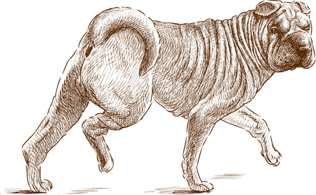 VEctor drawing of a striding guard dog.のイラスト素材