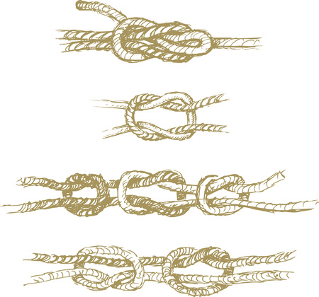 The vector drawing of a cnots in style of a sketch.のイラスト素材