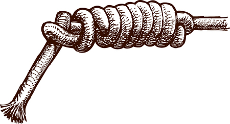 Vector drawing of a sea knotのイラスト素材