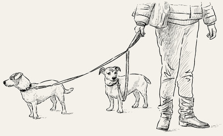 A Vector image of the pets on a walk illustration.のイラスト素材