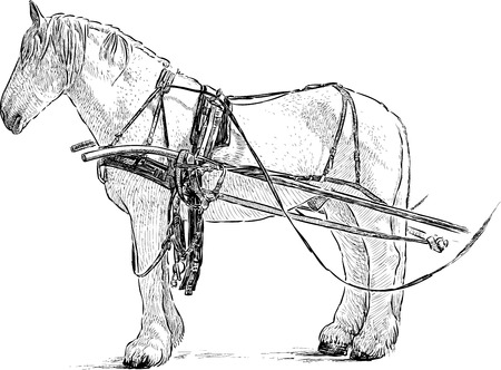 Vector image of a harnessed horseのイラスト素材
