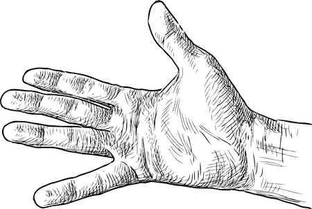 Hand drawing of the palm of a male handのイラスト素材