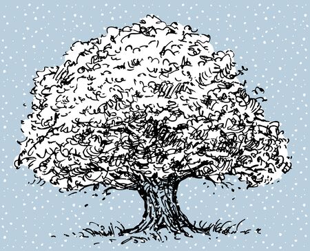 Old oak tree in winterのイラスト素材