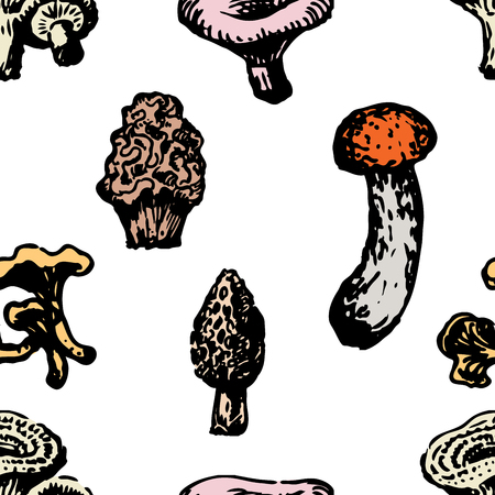 Vector background of various mushroomsのイラスト素材