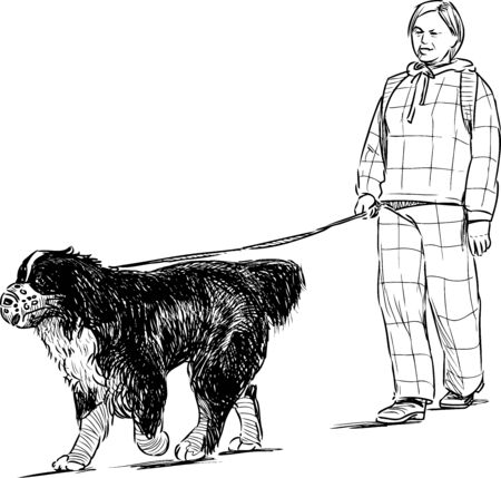 Hand drawing of townswoman with her dog walking down streetのイラスト素材