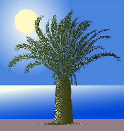 Vector image of silhouette palm tree on seashore in moonlit nightのイラスト素材