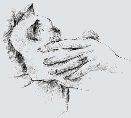 Vector textured drawing of cute small kitten sleeping in human handsのイラスト素材
