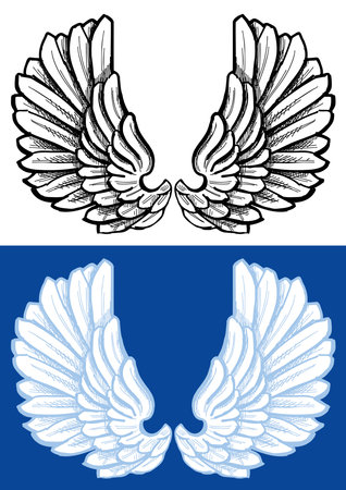 hand drawing of decorative mythological angel wingsのイラスト素材