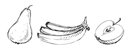 Sketches of various ripe fruits, pear, banana, apple half, hand drawn contour vector illustrationのイラスト素材