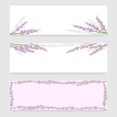 Web banners set with lavenderのイラスト素材