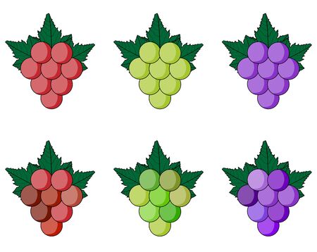 Colorful grape setのイラスト素材