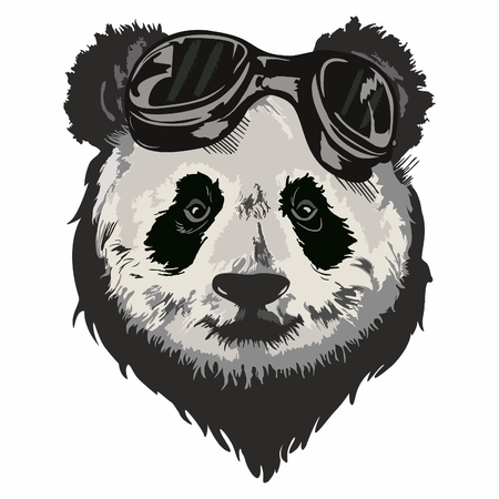 Black and white vector sketch of a Giant Panda's faceのイラスト素材