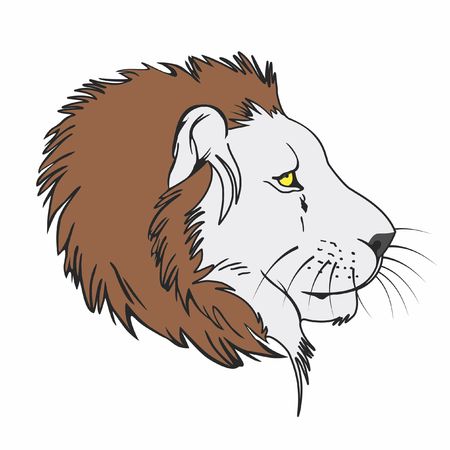 Lion head Vector illustration.のイラスト素材